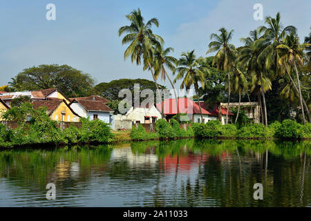 Traditional building development in Kochin, in the background reflecting the tropical flora in the water, Kerala - India. Stock Photo