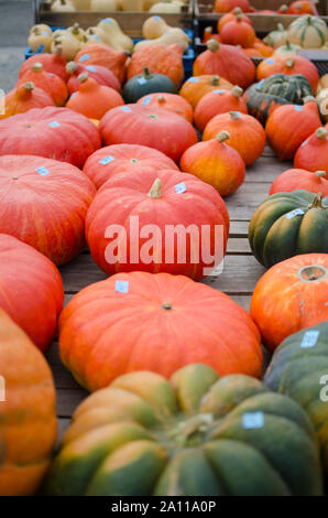 close up of halloween pumpkins on a cart from a farmer in different colors with bokeh effect. Stock Photo