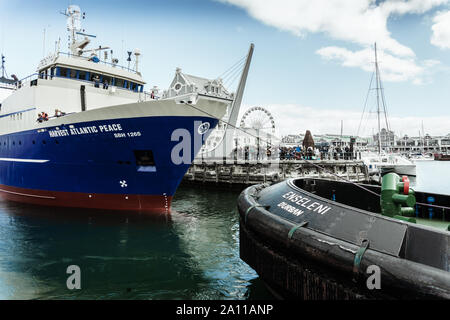 The fishing trawler Harvest Atlantic Peace navigates South Africa's Cape Town Waterfront channel after a dry dock service and paint job. Stock Photo