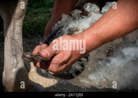 Hand shots of a farrier in the process of applying a new shoe to a horse Stock Photo