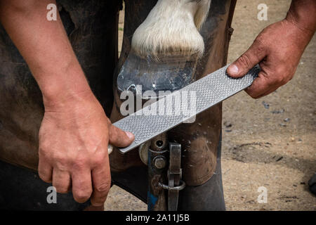 Hand shots of a farrier in the process of applying a new shoe to a horse Stock Photo