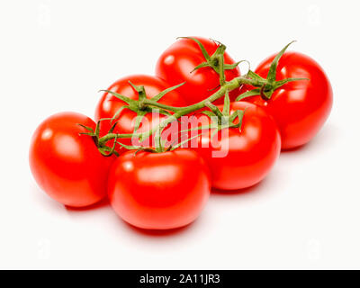 Tomatoes on the vine, cut out Stock Photo