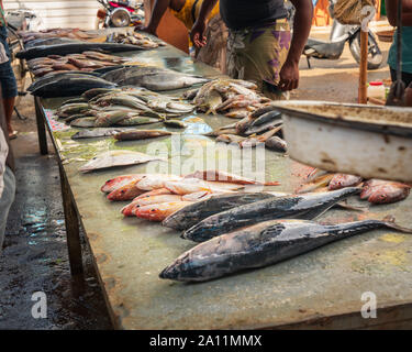 retail sale of fish on the dirty counter at the fish market, around people who watch and choose fish. Stock Photo