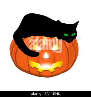 Black cat lies on an evil pumpkin jack lantern for halloween Stock Vector