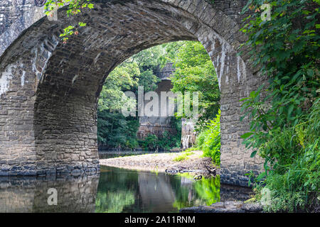 Detailed Summer View Looking Up the River Torridge, Through an Arch of the Historic Rothern Bridge to Rolle Bridge With Low Water and Reflections Stock Photo