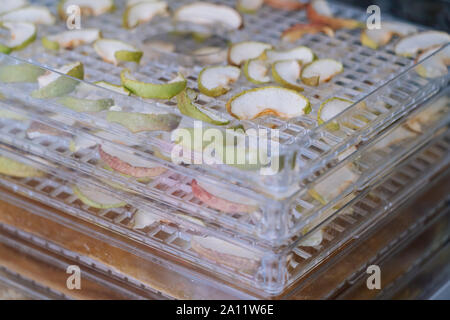 Dehydrating sheets with pieces of apples. Vegetarian apple chips in food dryer. Slices apples. Healthy and nutrition concept. Selective focus. Shallow Stock Photo