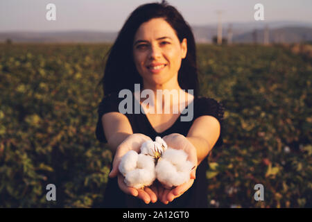 natural product, raw cotton flowers on woman's hands on green cotton field outdoor background Stock Photo