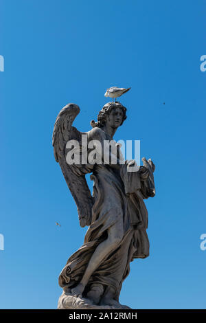 Angel statue at Ponte Sant Angelo bridge in Rome, Italy with sitting seagull on the head in clear and blue sky background. Statue by the name Angel wi Stock Photo