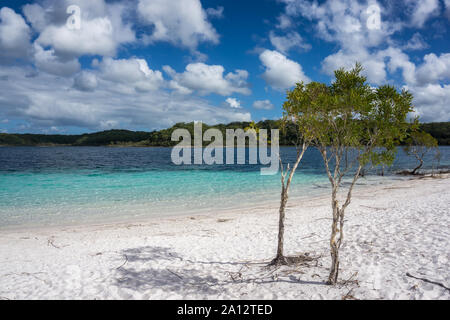 Lake McKenzie, Fraser Island, Queensland, Australia Stock Photo