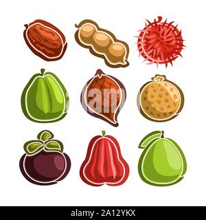 Vector Set icons of colorful exotic Fruits: 9 primitive logos of thai fruits isolated on white background, set of cartoon simple stickers for juice or Stock Vector