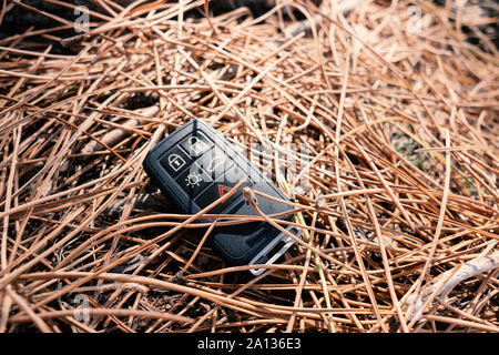 Lost car keys lying on pine forest ground. Lost concept Stock Photo