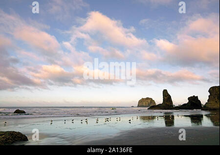 Surf rolls in soft patterns between the sea stacks on the beach near Bandon, Oregon, on the Pacific Coast of Oregon. Stock Photo