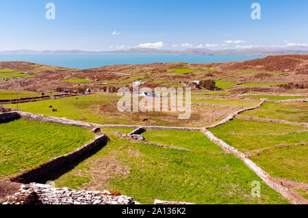 Views from Cape Clear Island trail, County Cork,  Ireland Stock Photo