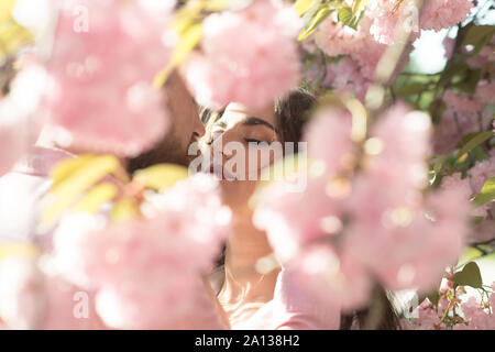 Couple in love hiding under blooming pink cherry blossom tree. Romantic date in idyllic garden, spring concept. Bearded man kissing pretty girl with f Stock Photo