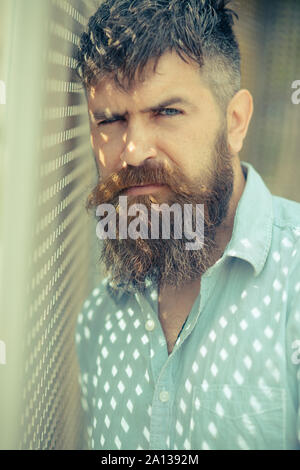 Bearded man in blue shirt standing by window with shutters. Dotted pattern made by sun rays. Man with brutal face and stylish beard hiding in shade, h Stock Photo