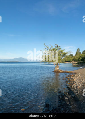 Panoramic of Lake Ranco, the third largest lake in Chile. In the region of Los Rios, in Araucanía or Patagonia, Chilean Andes. South of Chile. In the Stock Photo
