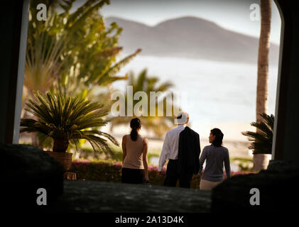 Rear view of three business professionals walking down the stairs. Stock Photo