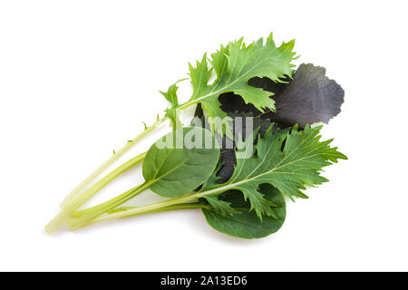 Asian salad mix isolated on white background Stock Photo