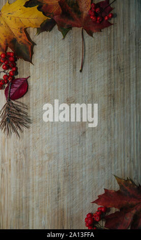 autumn background with colored leaves on wooden board Stock Photo