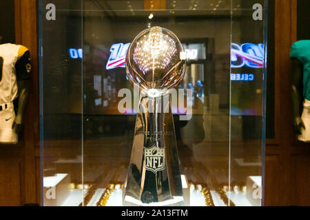 DALLAS COWBOYS SUPER BOWL TROPHY DISPLAY CASE