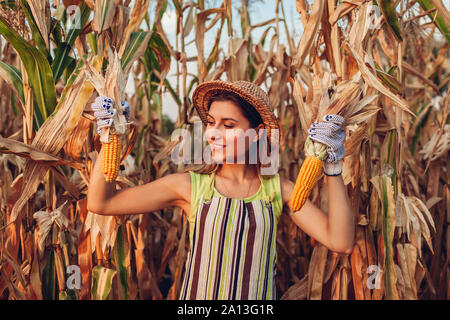 Corn crop. Young woman farmer picking corn harvest. Happy worker holding autumn corncobs. Farming and gardening Stock Photo