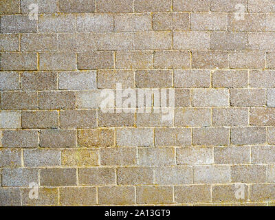 A backdrop or background of old breeze blocks making up the side of a wall Stock Photo