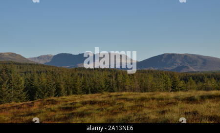 A vista of mountain peaks rising above a pine forest at Glen Oykel in the northern Scottish Highlands, Great Britain Stock Photo