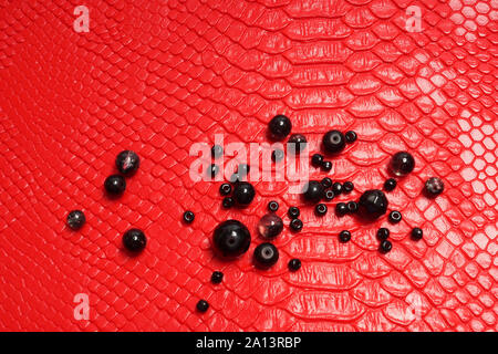 Black glass beads of various sizes lie on a red snakeskin. Abstract background. High fashion. Stock Photo