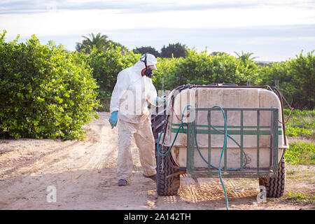 Men spray fumigation. Industrial chemical agriculture. Man spraying toxic pesticides, pesticide, insecticides on lemon growing plantation, Spain, 2019. Stock Photo