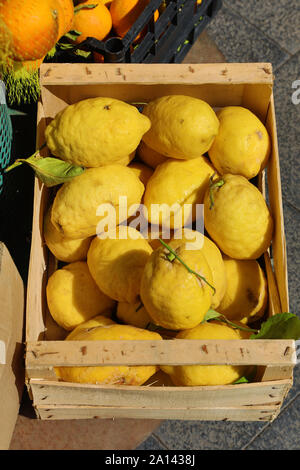 Fresh lemons on sale in the street market in the city of Pompeii, Italy Stock Photo