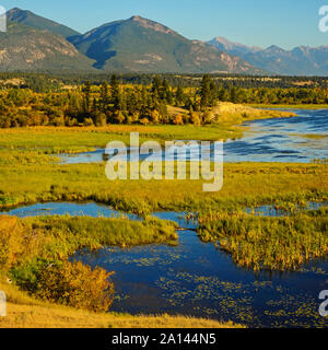 The Columbia Wetlands in Fall or Autumn, near Invermere, British Columbia, Canada Stock Photo