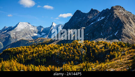 Jumbo Pass, British Columbia, Canada in Fall with Golden Larch. Purcell Mountain Landscape. Stock Photo