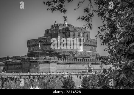 Black and White Image of Sant'Angelo Castle framed by the tree in Rome, Italy Stock Photo