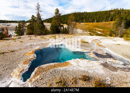 Blue Star Spring, a famous beautiful blue pool in the Upper Geyser Basin. at Old Faithful in Yellowstone National Park that erupts on rare occasions. Stock Photo
