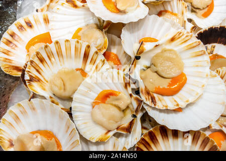raw scallops on ice at the fish market, background Stock Photo