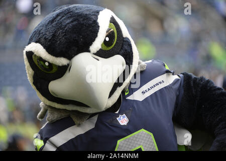 10 Seattle Seahawks Mascot - Blitz ideas