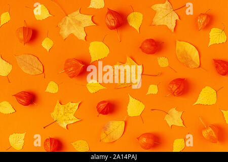 Autumn leaves on an orange background. Stock Photo