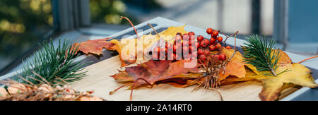 colorful autumn leaves Background . autumn orange leaves. Stock Photo