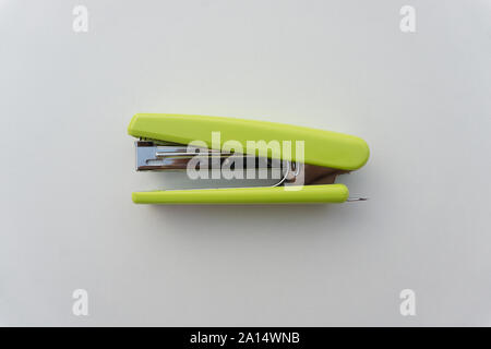 Green stapler isolated on white background. Stock Photo