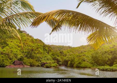 Picturesque green corner of the nature, leaves of a palm tree hang down over the lake surrounded with the green jungle. Summer travel template. Stock Photo