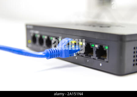 blue cable network cables connected to switch port concept business connection information internet Stock Photo