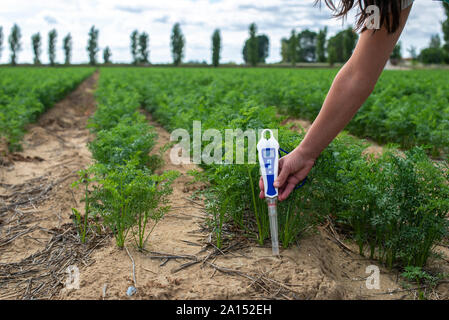 Measure soil with digital device. Green plants and woman farmer measure PH and moisture in the soil. High technology agriculture concept. Stock Photo