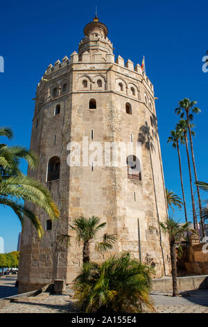 Seville Torre del Oro, view of the Moorish Torre del Oro Tower of Gold in the old city quarter of Sevilla , Andalucia, Spain. Stock Photo