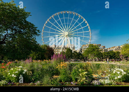 Ferris wheel on the Place de la Concorde, Tuileries Garden, 8th arrondissement, Jardin des Tuileries, Paris, France Stock Photo