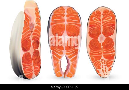 Set fillet salmon isolated on white background. 3D realistic slice of red fish. Beautiful steaks salmon. Fresh salmon close up. Vector illustration Stock Vector