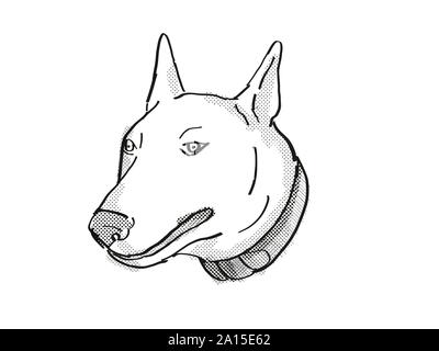 Retro cartoon style drawing of head of a Bull Terrier , a domestic dog or canine breed on isolated white background done in black and white. Stock Photo