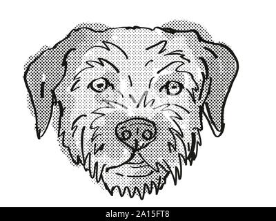 Retro cartoon style drawing of head of a Border Terrier , a domestic dog or canine breed on isolated white background done in black and white. Stock Photo