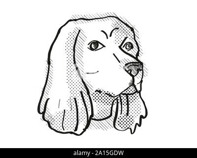 Retro cartoon style drawing of head of a Cocker Spaniel , a domestic dog or canine breed on isolated white background done in black and white. Stock Photo