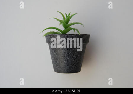 Potted plastic plants and flowers for decorations. Container made of aluminium, plastic, ceramic as well as clay. Plants include Cactus, cacti, beauti Stock Photo