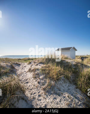 Beach hut and sand dunes at the beach at Skanor, Skane, Sweden, Scandinavia Stock Photo